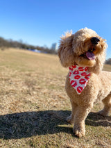 Love Lips Bandana