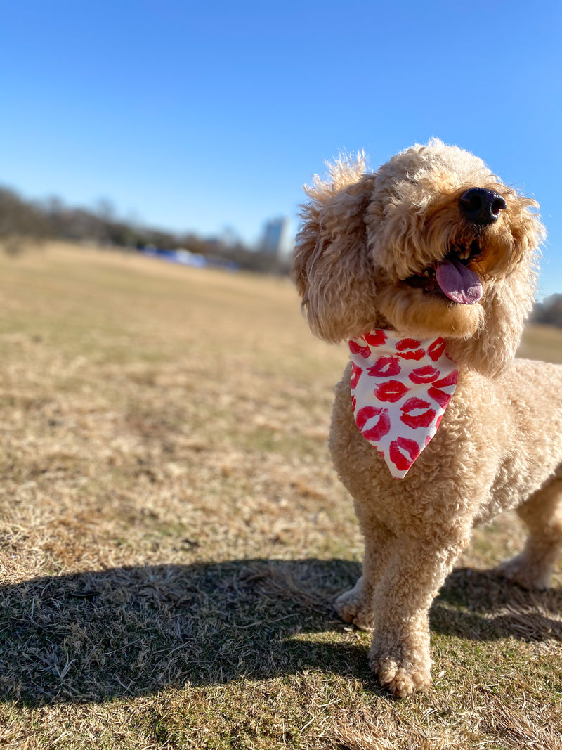 Love Lips Bandana