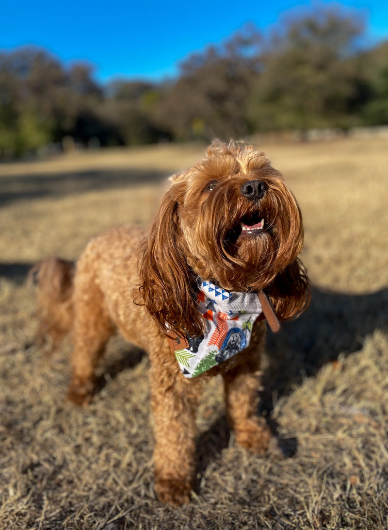 Grizzly Bear Flannel over the collar dog bandana