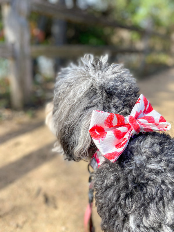 Love Lips Bow Tie