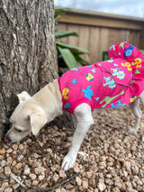 Lucky Duck Dog Dress