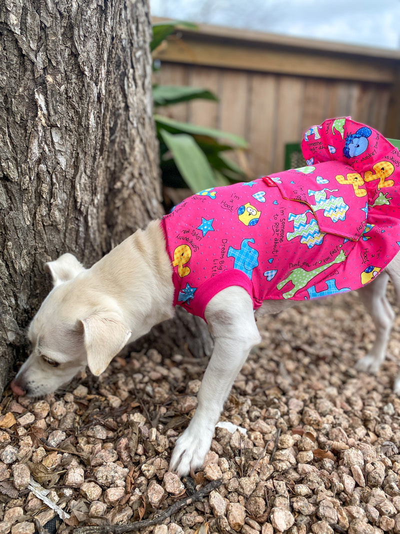Lucky Duck Dog Dress
