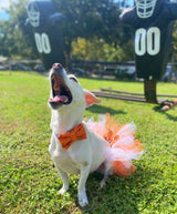 University of Texas Game Day Tutu