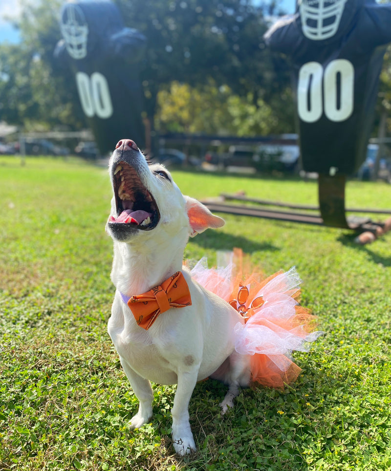 University of Texas Game Day Tutu