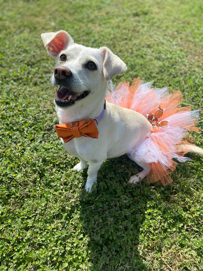 University of Texas Game Day Tutu