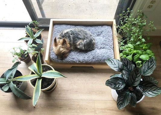 handcrafted dog bed 