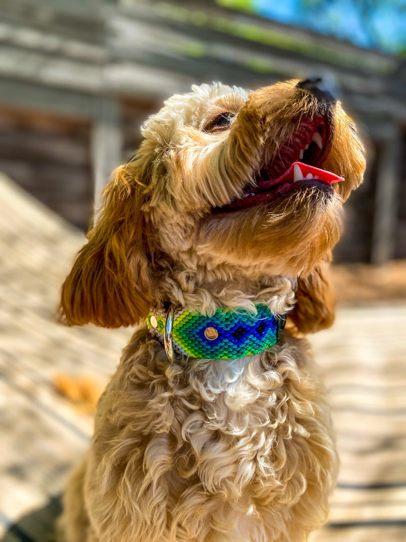 One of a Kind Artisan Collar - 001