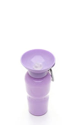 Springer Travel Water Bottle