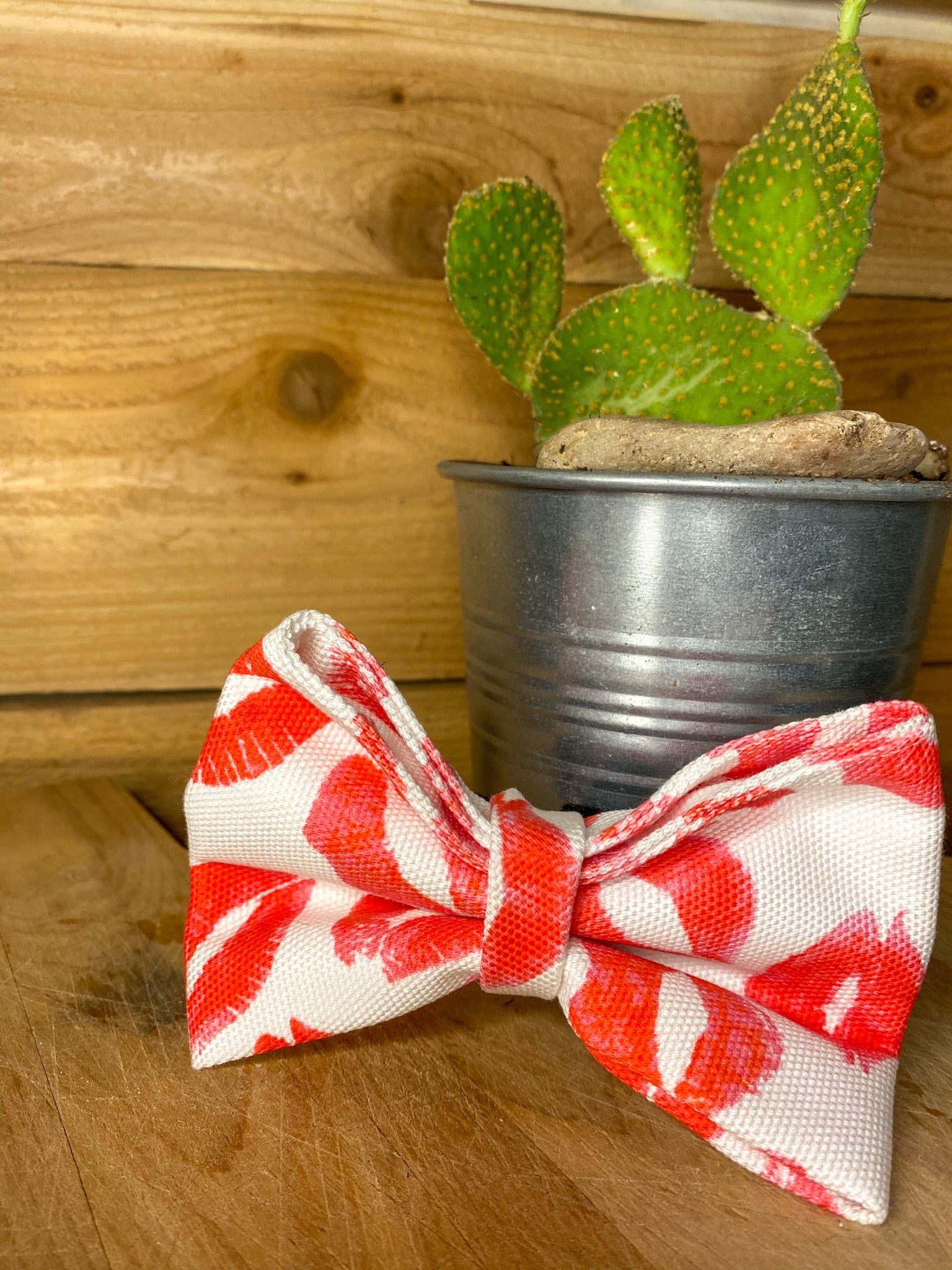 Lips Print Dog Bow Tie Over the collar velcro style