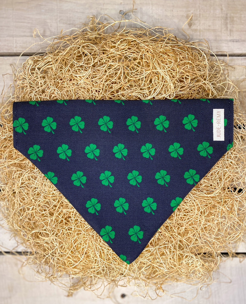 Lucky Irish Clover Dog bandana over the collar