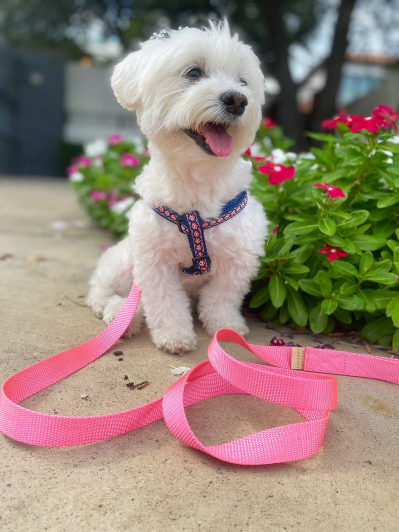 Pink Leash