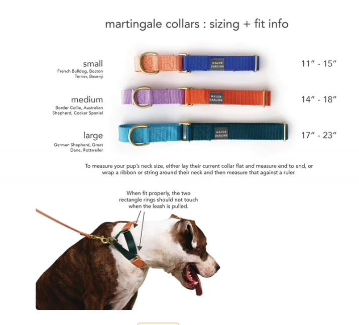 Giraffe & Teal Martingale Collar