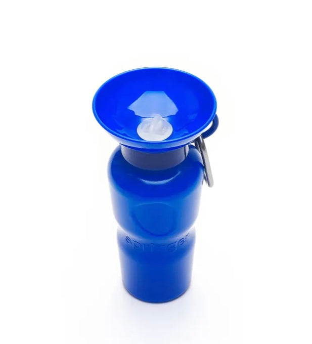 Springer Travel Water Bottle