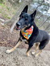 German Shepherd in Flower Power Dog bandana