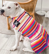 Sarape Dress