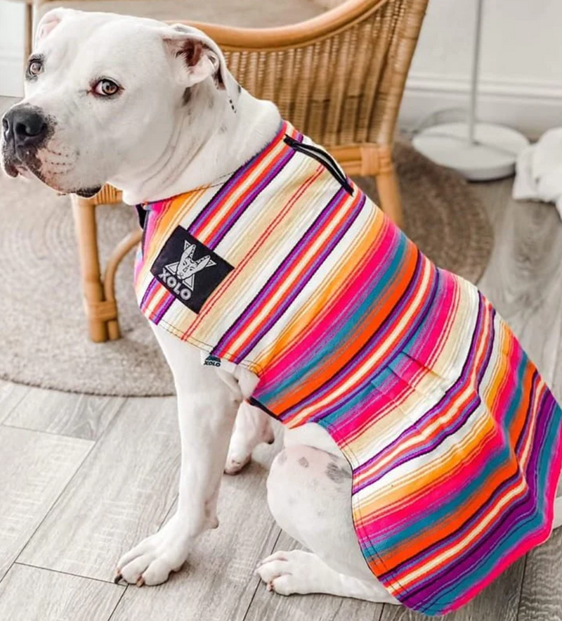 Sarape Dress