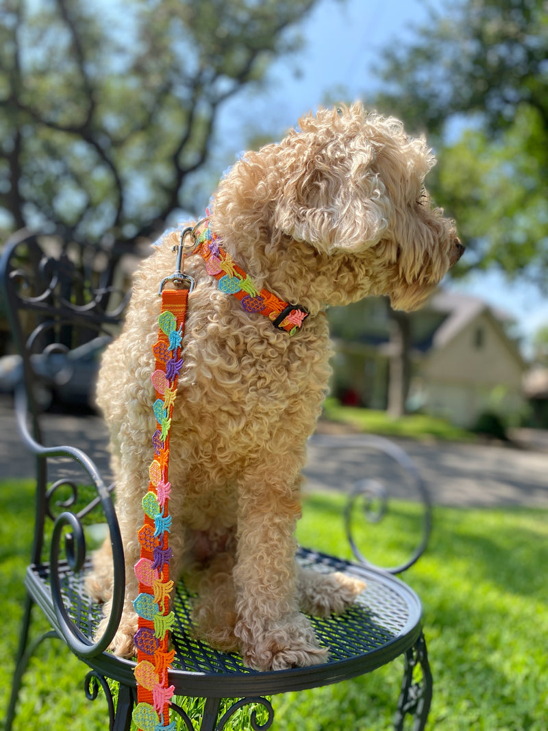 Pineapple Party Collar