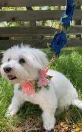 Elegant Flower Leash