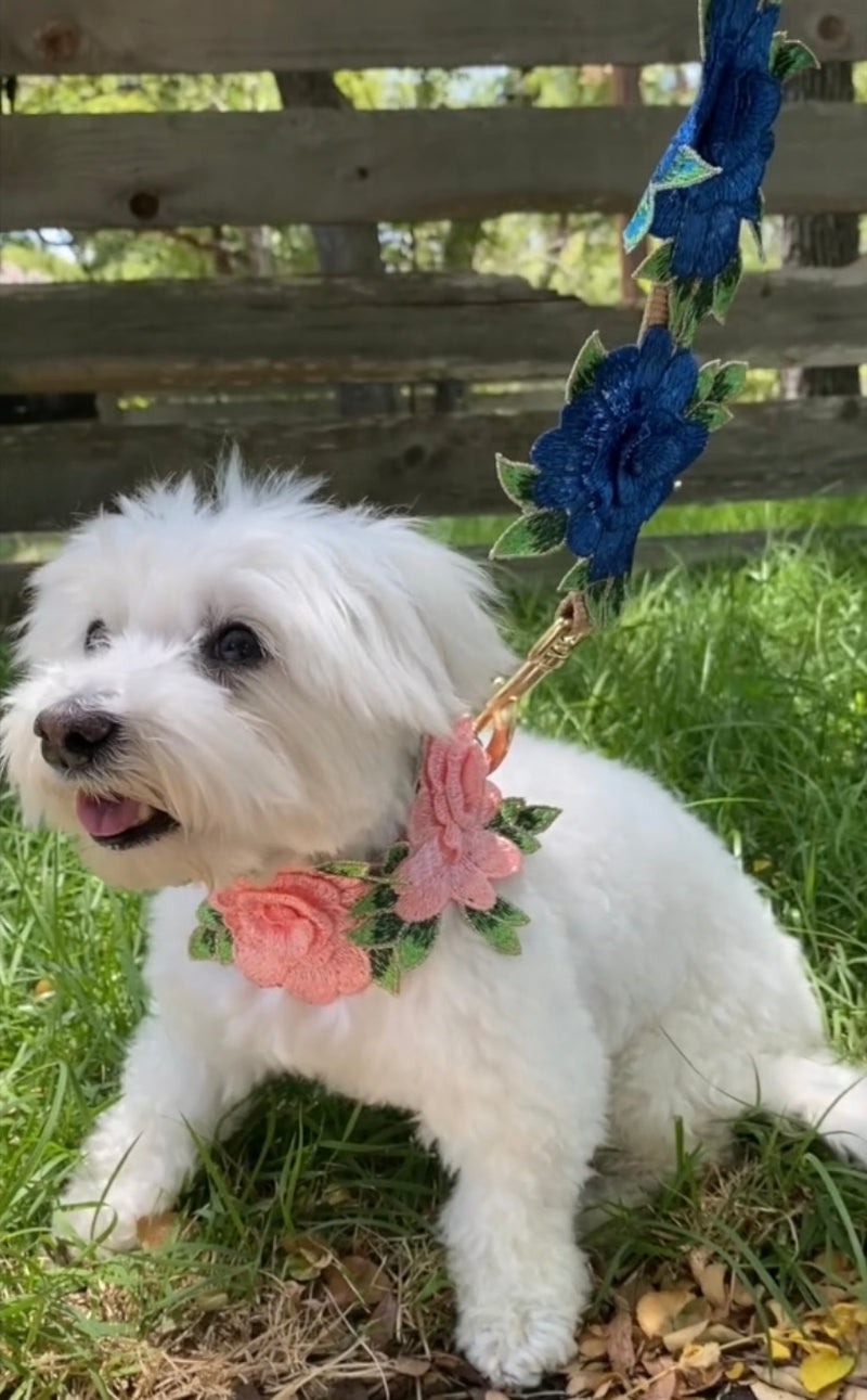 Elegant Flower Leash