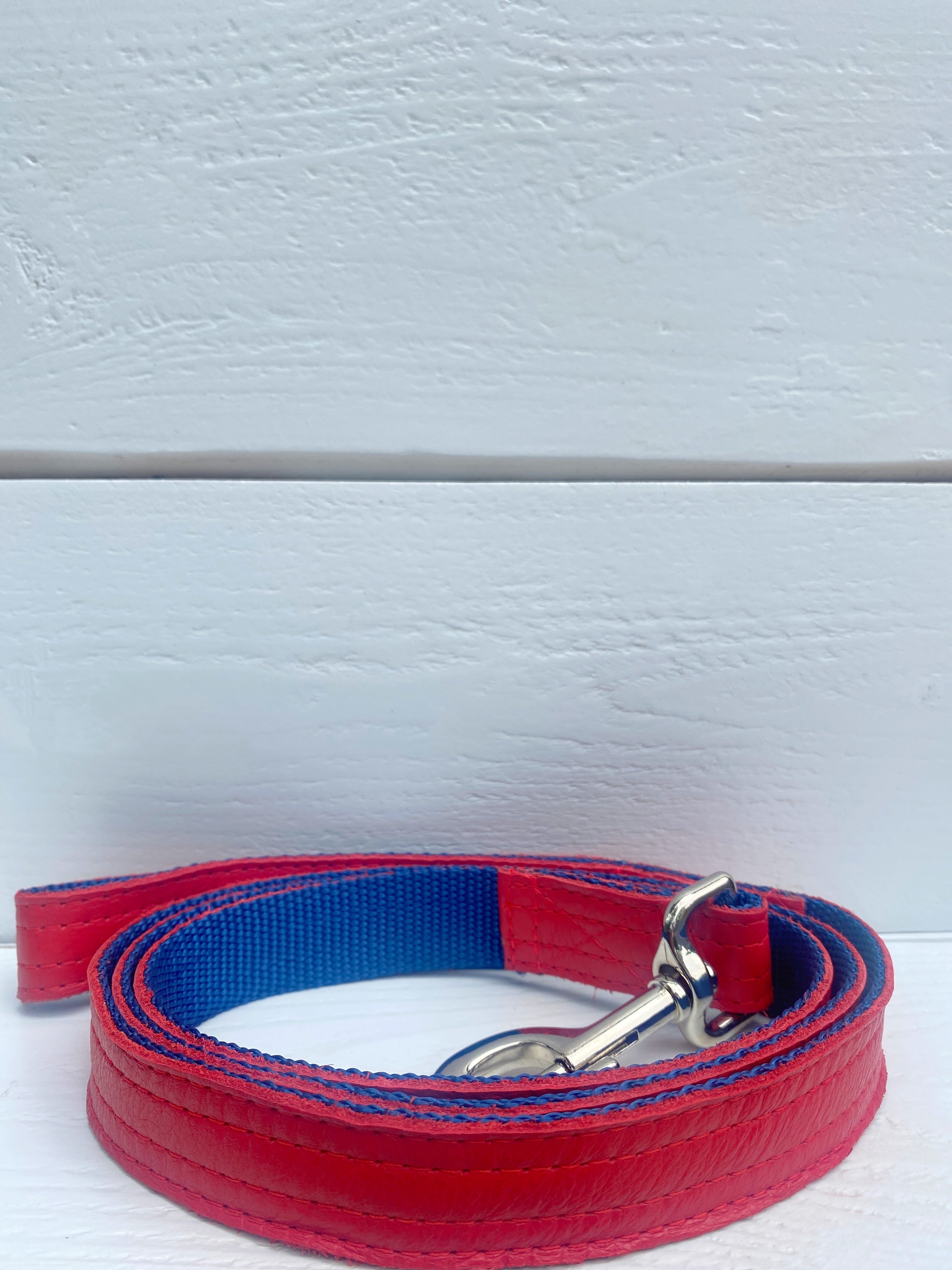 Red Leather Leash