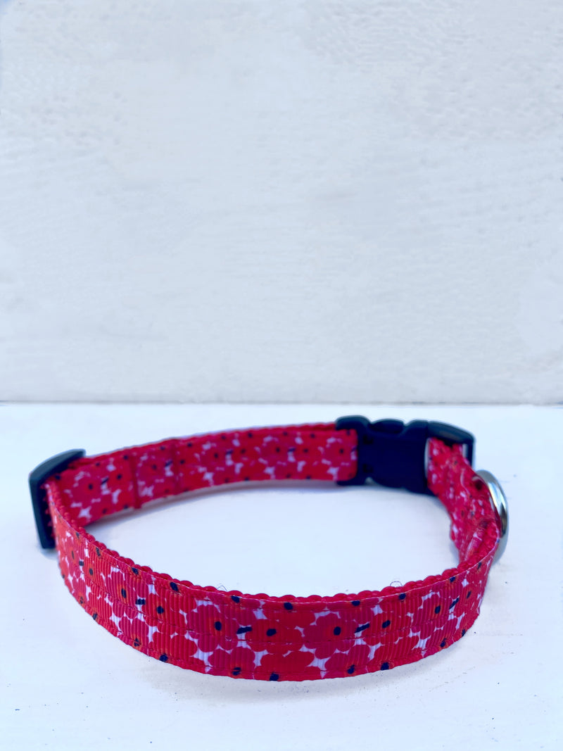 Red Poppy Leash