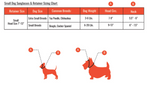 Dog Sunglass Retainer