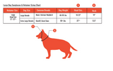 Dog Sunglass Retainer