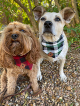 Green Plaid Flannel Bandana
