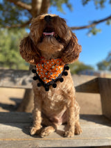 Halloween Candy Herringbone Reversible Bandana