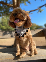 Halloween Candy Herringbone Reversible Bandana