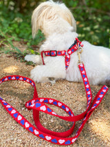 Red harness step-in harness style with classic hearts design modeled by Shichon dog