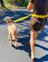 Yellow Tassel Leash