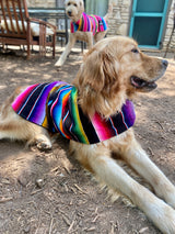 Mexican Sarapes