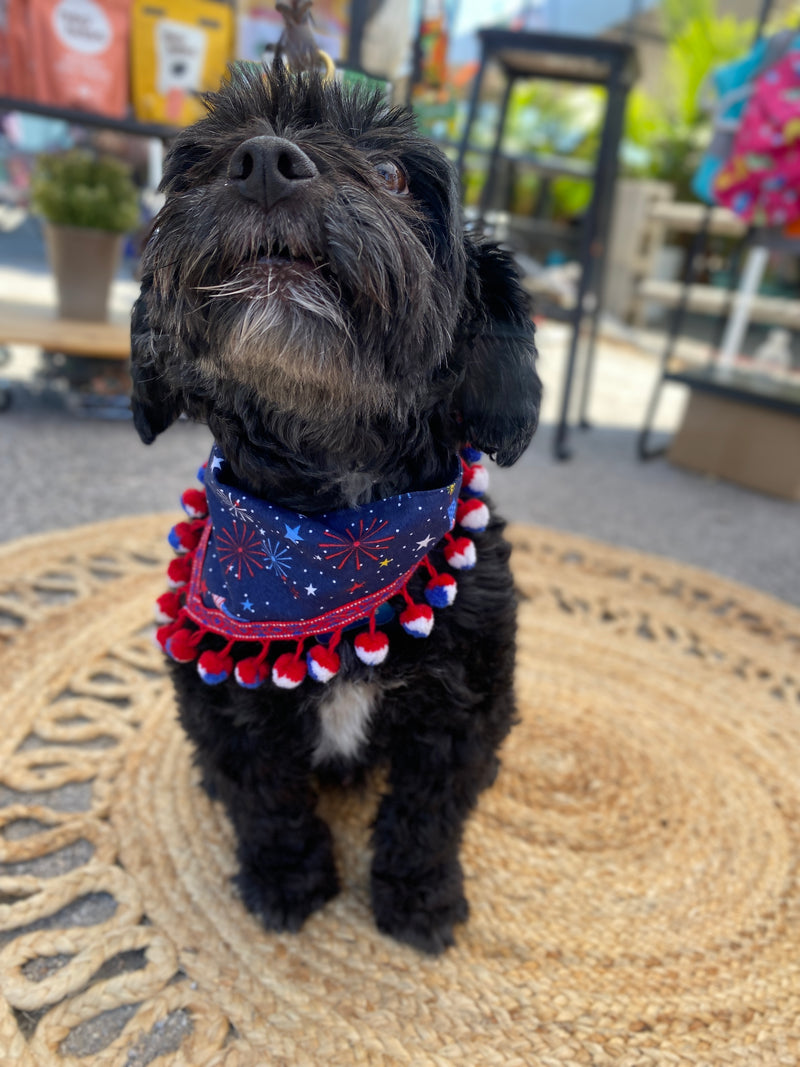 Fourth of July Bandana