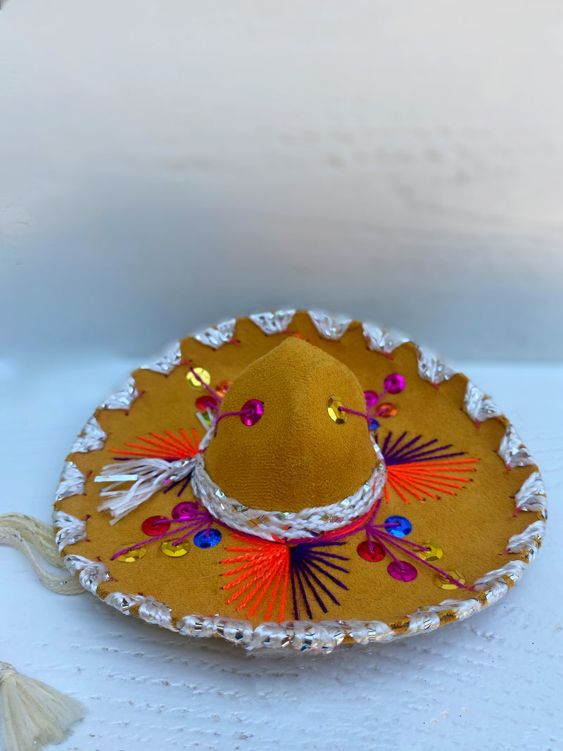Mexican Sombrero Dog and Cat Hats