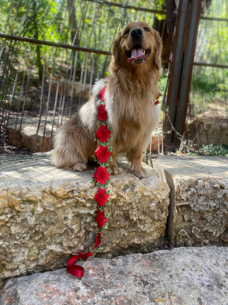 Elegant Flower Leash