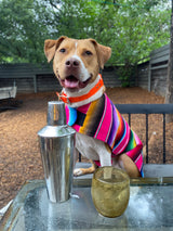 neonthemutt in pink mexican sarape 