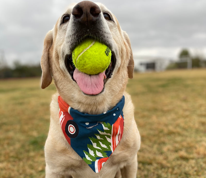 Christmas Tree Truck Bandana
